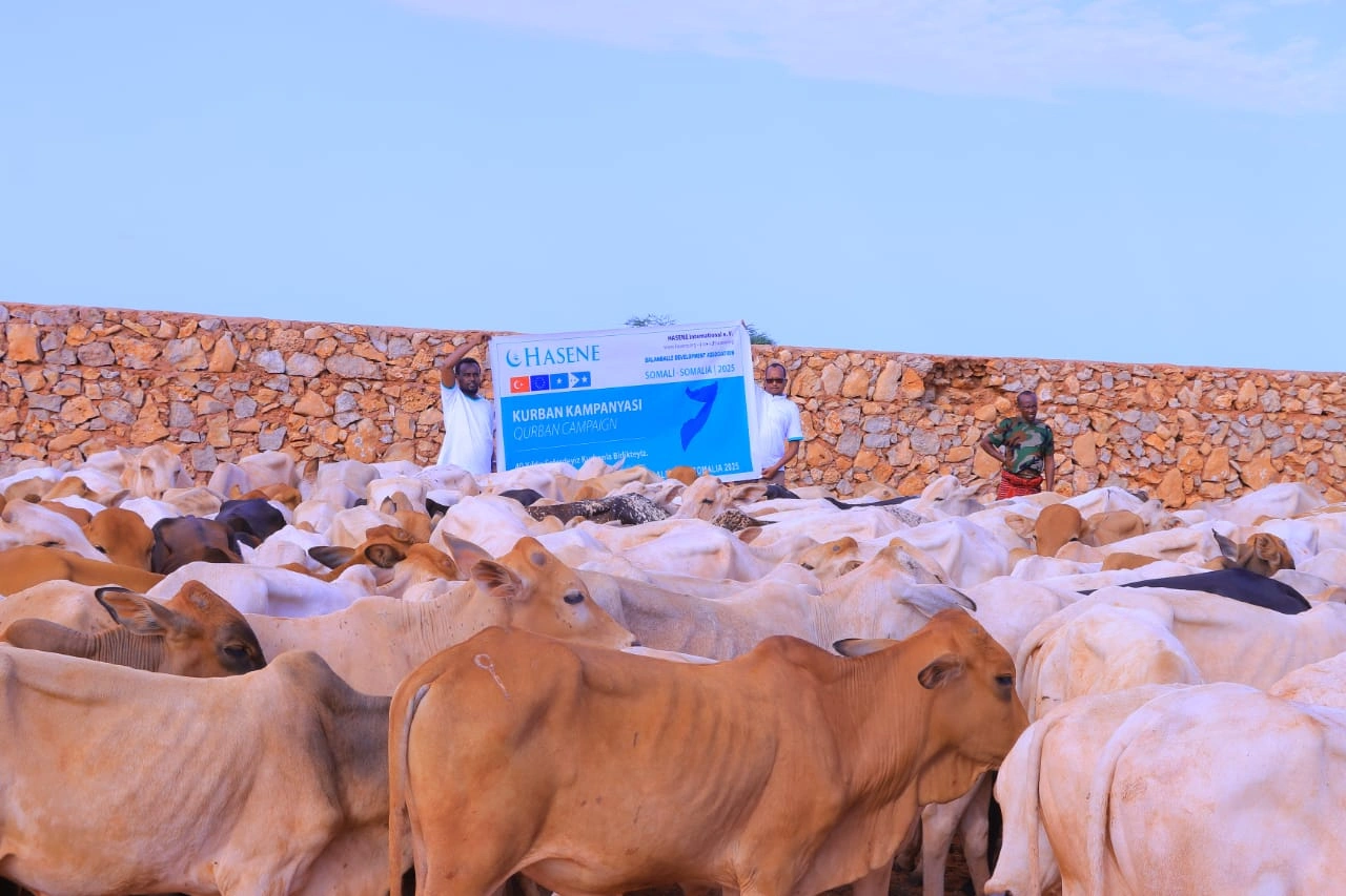 Qurban images Image 20